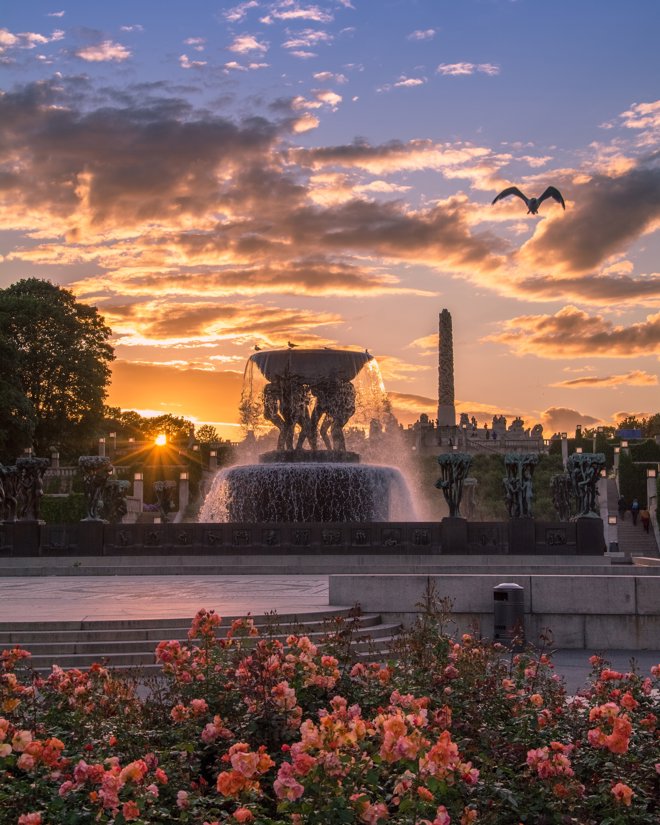 Vigelandsparken i solnedgang